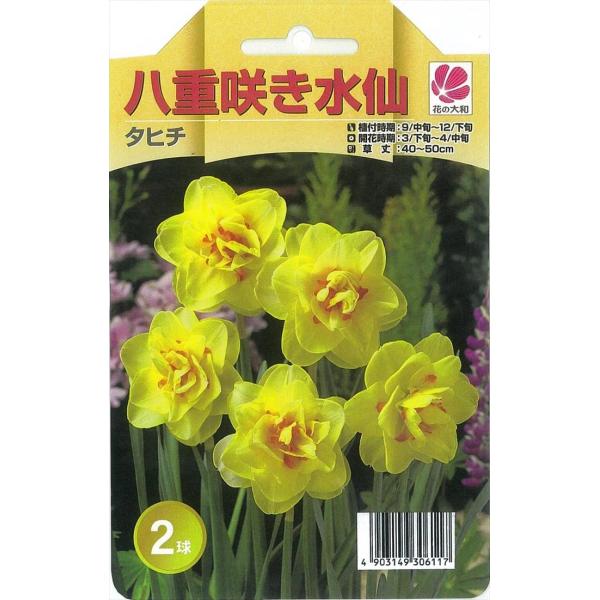 球根 水仙の人気商品 通販 価格比較 価格 Com