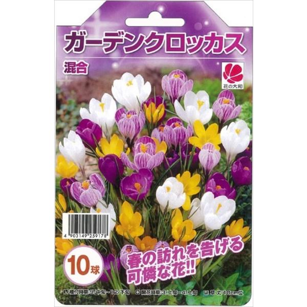 球根 クロッカスの人気商品 通販 価格比較 価格 Com