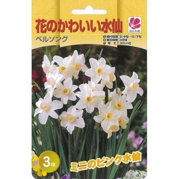 球根 水仙の人気商品 通販 価格比較 価格 Com