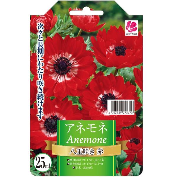 球根 アネモネの人気商品 通販 価格比較 価格 Com