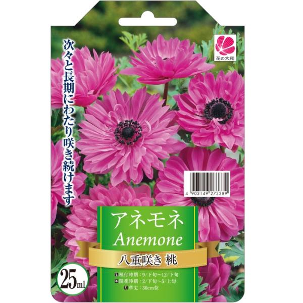 球根 アネモネの人気商品 通販 価格比較 価格 Com