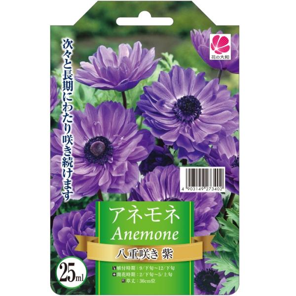 花の大和 球根 きゅうこん アネモネ 色別 八重咲き 紫 35ml Z フラワーネット日本花キ流通 通販 Yahoo ショッピング