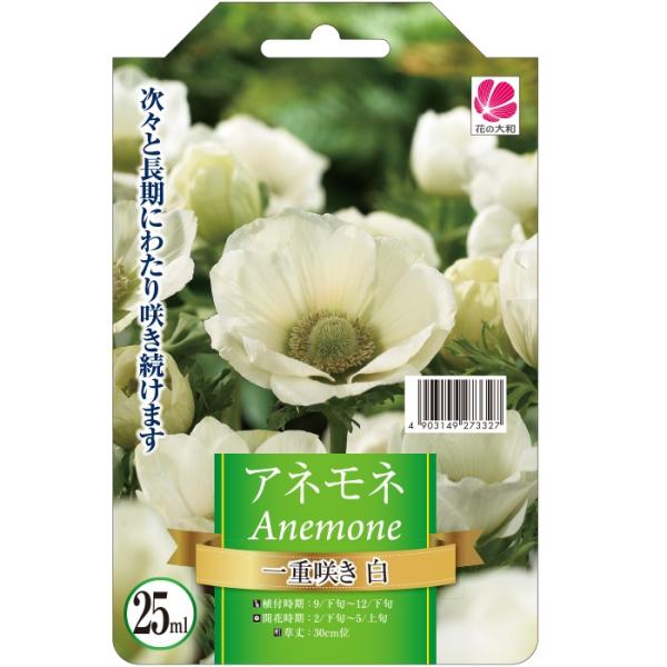 球根 花 白の人気商品 通販 価格比較 価格 Com