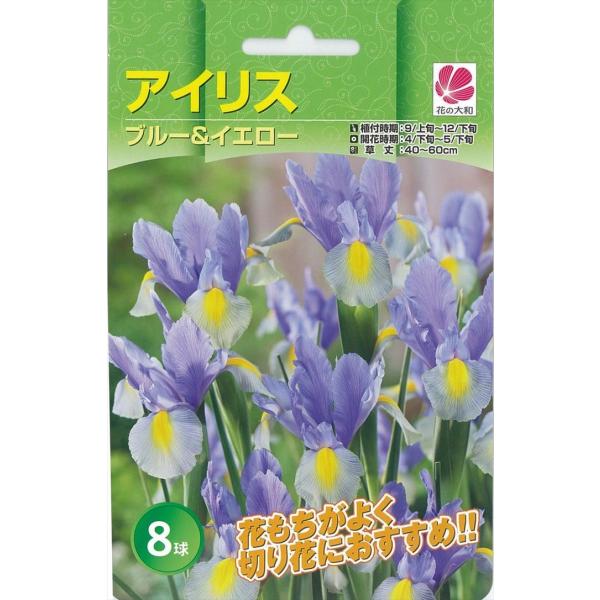 予約販売 花の大和 球根 アイリス色別 ブルー イエロー 8球 10月中旬以降発送 Z フラワーネット日本花キ流通 通販 Yahoo ショッピング