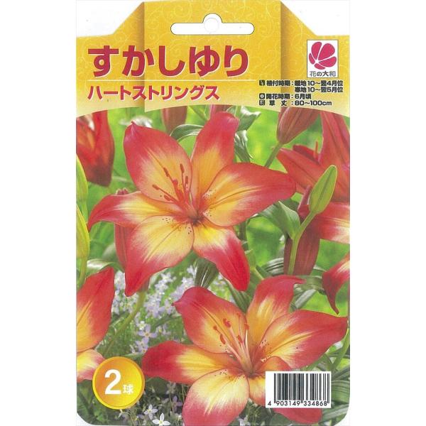 球根 ユリの人気商品 通販 価格比較 価格 Com