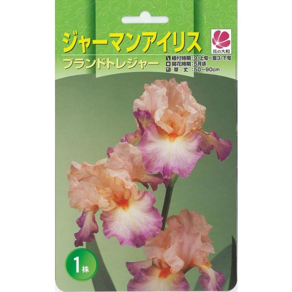 flower-net_z200710105