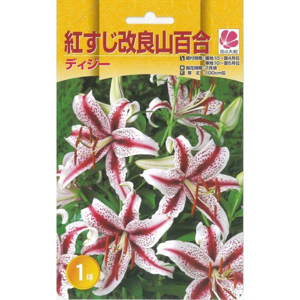 flower-net_z200711020