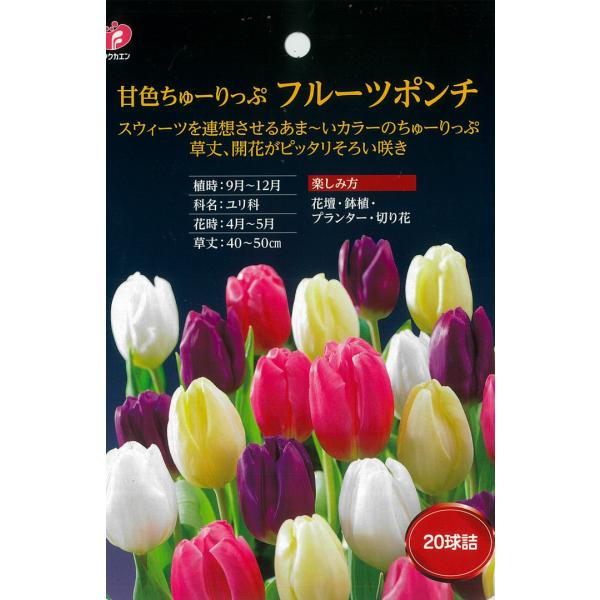 flower-net_z200721014