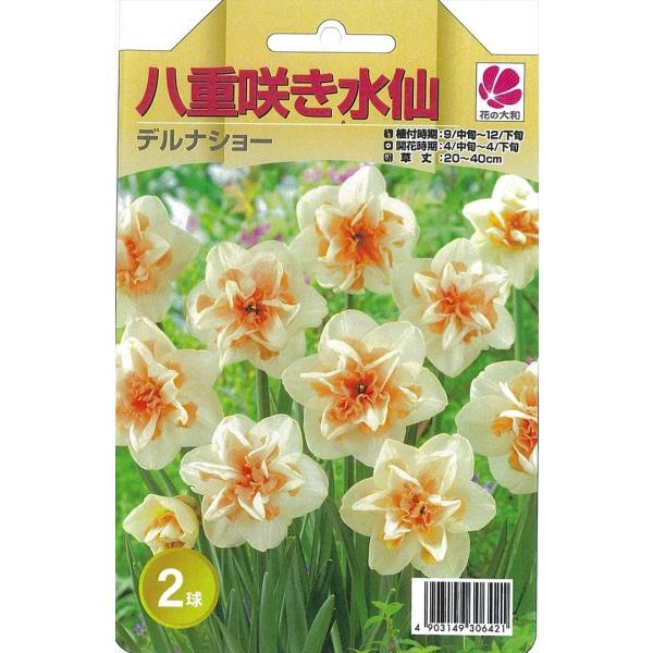 flower-net_z210615106