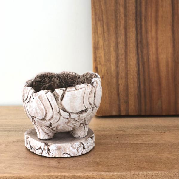 資 植木鉢 GA053-100LB ライドブラウン 陶器 鉢 和風 インテリア 多肉