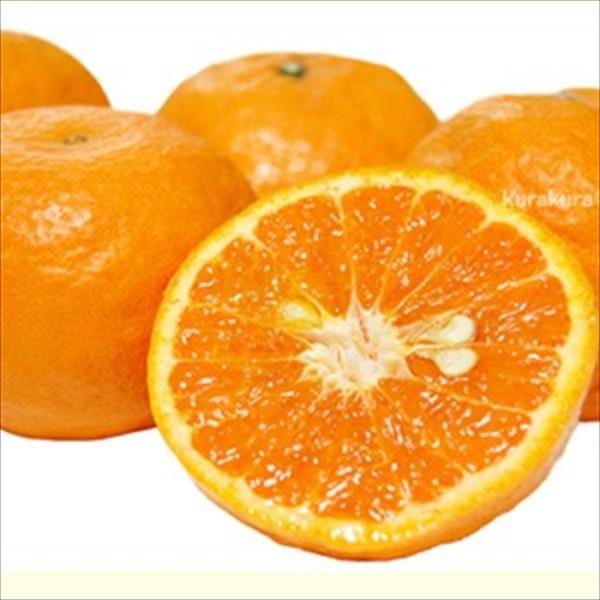 カラマンダリン 