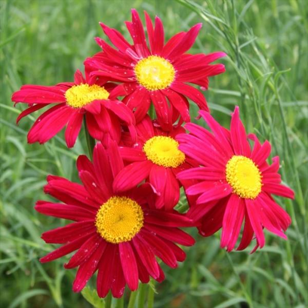 \̔ ^iZ^ c r\bh 9cm|bg N K[fjO ԕc hc atm 11{ȍ~