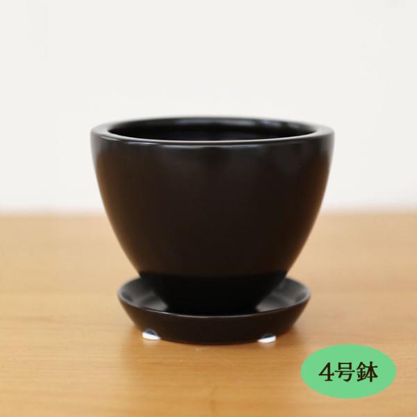 資 QDA-600 BK 4号丸深尻丸 受皿付 陶器 鉢 植木鉢 インテリア 多肉植物 おしゃれ 観葉植物 mrk