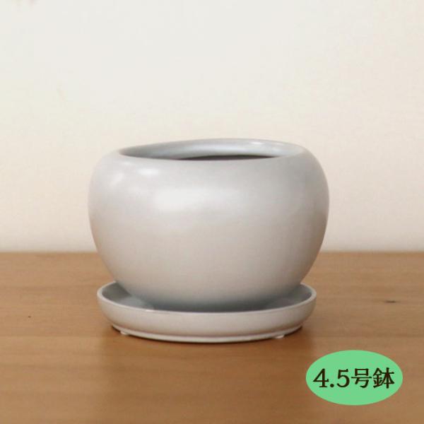 ■特徴磁器素材を原料として約１２００℃の高温で焼成されているため、貫入（釉薬ヒビ）はほとんど発生しない仕上がりとなっております。■サイズ4.5号サイズ 直径：14cm×高さ：9.5cm（口内径：１０cm） 鉢底穴あり・皿付き ※サイズには多...