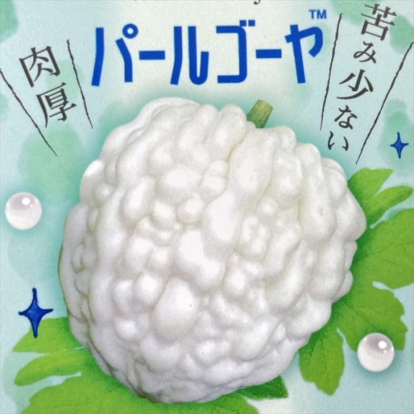 ■特徴苦味が少なく肉厚でパールのような輝きの純白ゴーヤ。 生育は非常に旺盛で、グリーンカーテンにも最適な品種。 純白の果実は生長が目視しやすく収穫遅れが少なくなります。 栄養満点で夏バテ防止に最適。 炒め物はもちろんサラダやマリネなど、生食...