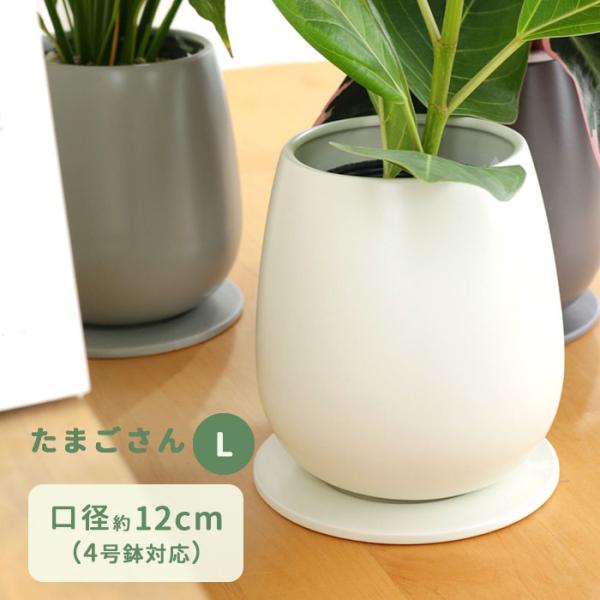 新品未開封 SRL neighborhood Bowltype Lサイズ 植物鉢 2025年最新】Yahoo!オークション -ネイバーフッド 鉢の中古品