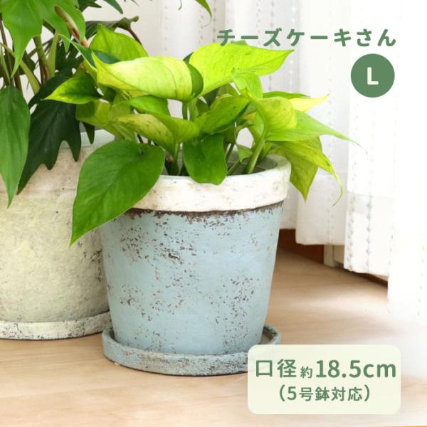 ⑤ケーキ型陶器花器 カラーが選べる植木鉢 チーズケーキさん Lサイズ 資 PP-0111L 5号 受皿