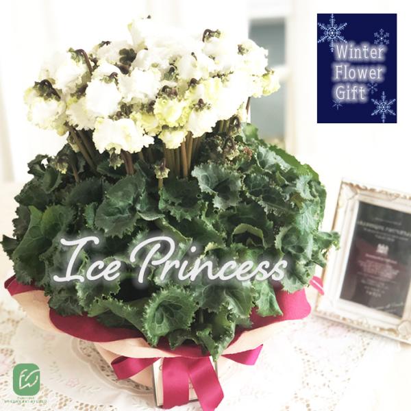 flower-net_z230906001