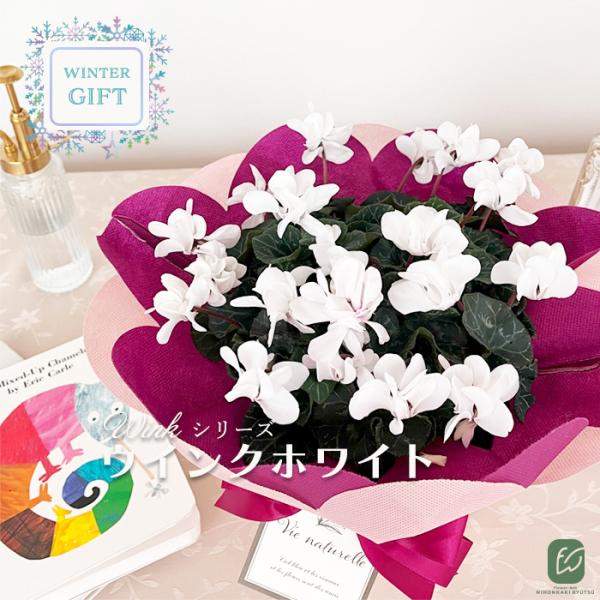 flower-net_z231130604