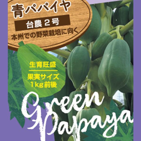 日本花キ流通 予約販売 パパイヤ 苗 青パパイヤ 台農2号 3.5号ポット
