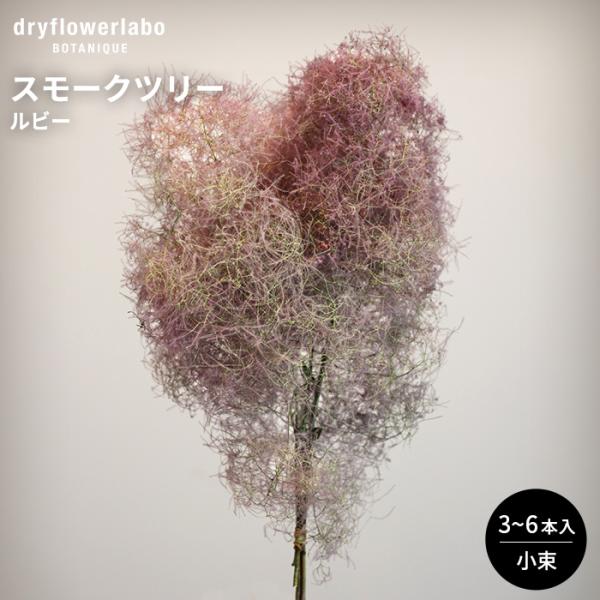 【特徴】手軽にお部屋に自然の美しさを取り入れることができるドライフラワー。水やりが不要で、手間いらずで長持ちするため、忙しい日常の中でも気軽に楽しめます。生産しているのは、生花に近い鮮やかさを持つ高品質なドライフラワーを提供するドライフラワ...