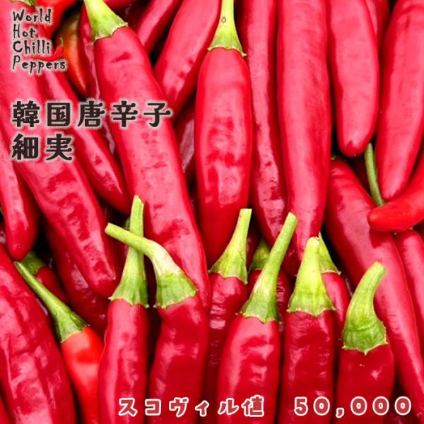 【特徴】韓国料理の定番唐辛子実が細く辛みの強い品種です。スコヴィル値　50,000【置き場所】一日を通して日光の当たる場所がおすすめです。また、水はけや風通しの良さも大切です。【水やり】土の表面が乾いたらたっぷりと与えます。【肥料】実を収穫...