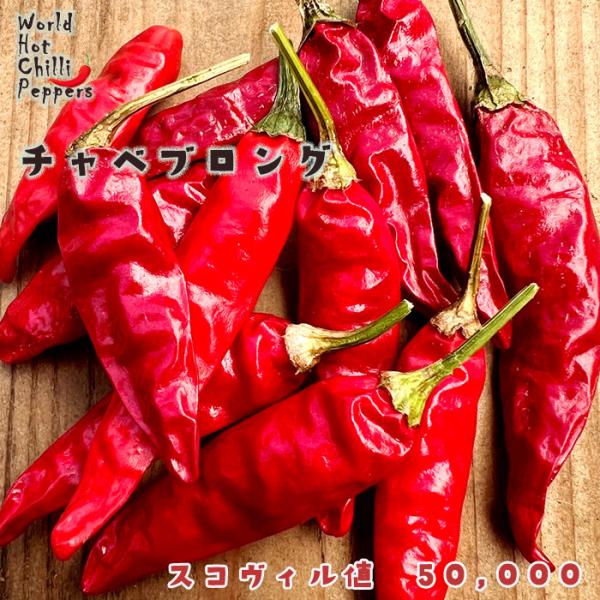 【特徴】マレーシア料理には欠かせない小粒で辛みの強い唐辛子です。スコヴィル値　50,000【置き場所】一日を通して日光の当たる場所がおすすめです。また、水はけや風通しの良さも大切です。【水やり】土の表面が乾いたらたっぷりと与えます。【肥料】...