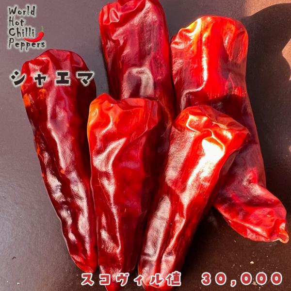 【特徴】ブータン王国原産の辛みの強い唐辛子。ブータンの食卓になくてはならない唐辛子です。スコヴィル値　30,000【置き場所】一日を通して日光の当たる場所がおすすめです。また、水はけや風通しの良さも大切です。【水やり】土の表面が乾いたらたっ...