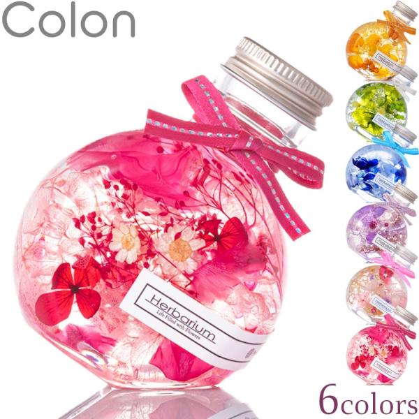 ギフト コロンと可愛い ハーバリウム ねこ瓶 全6色(ピンク オレンジ 緑 赤 青 紫) 誕生日 プレゼント 結婚 新築 餞別 退職 祝い ミニサイズ 丸瓶 母の日