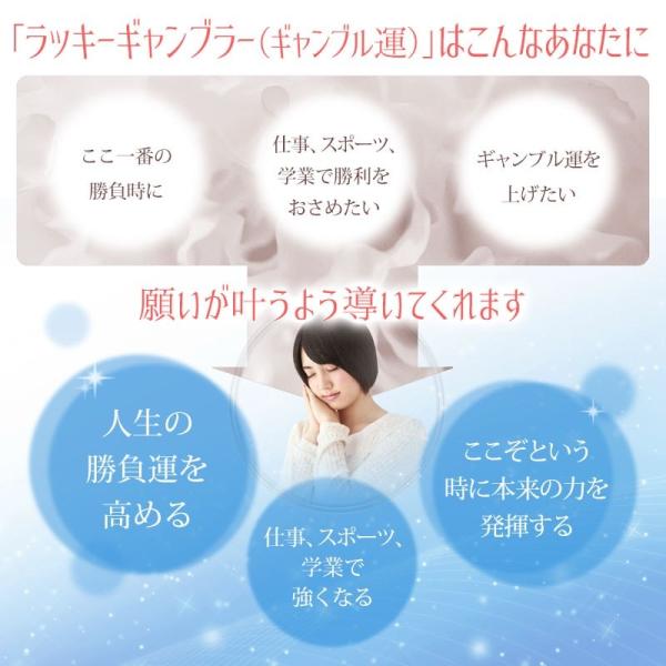 ラッキーギャンブラー Lucky Gambler ギャンブル運 アンシェントメモリーオイル 15ml Buyee Buyee 提供一站式最全面最專業現地yahoo Japan拍賣代bid代拍代購服務 Bot Online