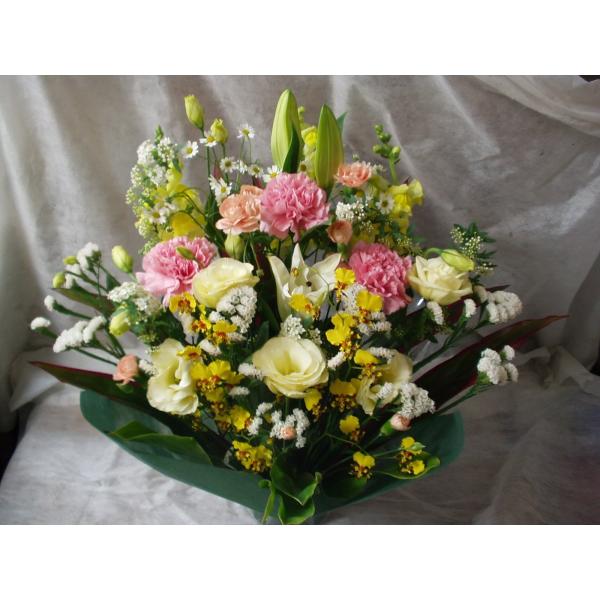 t[AWg5500~  Mtg ̓ ̓ a j