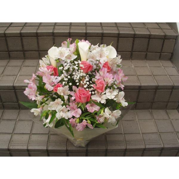 t[AWg4600~  Mtg ̓ ̓ a j t[AW@