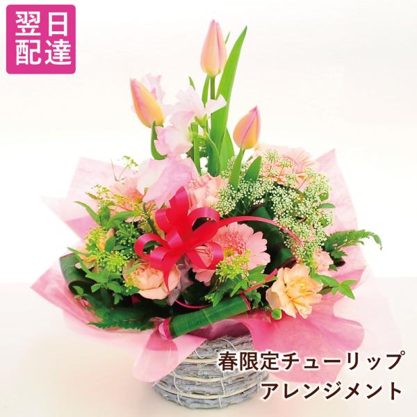 【商品について】チューリップやスイートピーなどボリュームたっぷりにアレンジしました。チューリップの花言葉は「思いやり」【商品のサイズ】高さ30cm×幅35cm前後【注意事項】※チューリップの色はおまかせになります。※花材の入荷状況により、発...