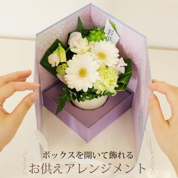     z AWg  N@v  O  ފ {bNXJď邨AW