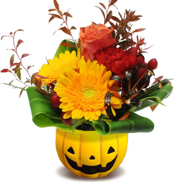 ハロウィン 花 プレゼントの人気商品・通販・価格比較 - 価格.com ハロウィン 花 プレゼントの人気商品・通販・価格比較 - 価格.com