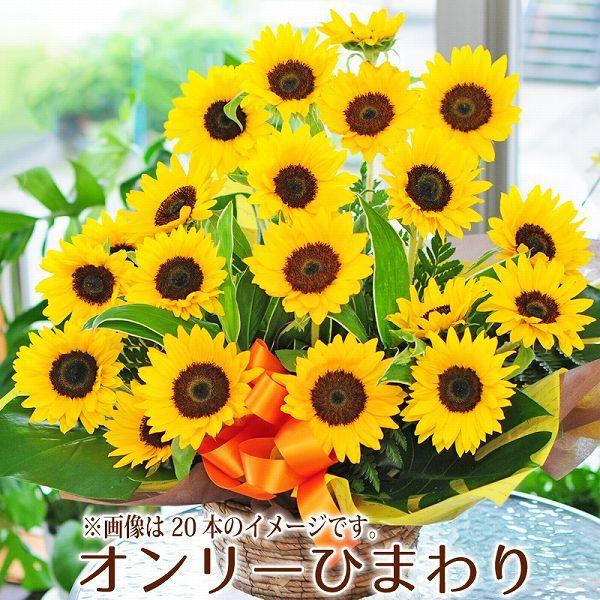 花 プレゼント ギフト アレンジメント ひまわり 花 オンリーひまわりアレンジメント ヒマワリ 向日葵 10本以上からご希望の本数でお作りします Ar Onlysunf 花束ギフト花工房 誕生日翌日配達 通販 Yahoo ショッピング
