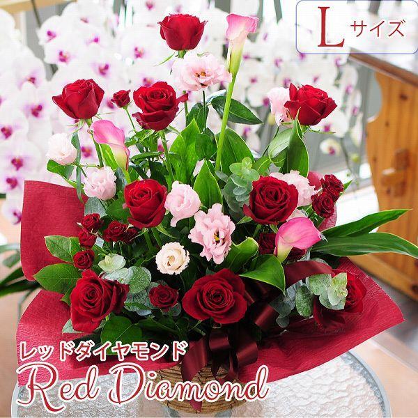 誕生日プレゼント 女性 赤いバラ アレンジメント 卒業祝い花 卒園祝い花 入学祝い花 誕生日 記念日 送別祝い花 退職祝い花 歓送迎 レッドダイヤモンド Lサイズ Ar Redd L 花束ギフト花工房 誕生日翌日配達 通販 Yahoo ショッピング