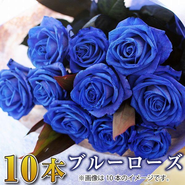 生花 ブルーローズの人気商品・通販・価格比較 - 価格.com 生花 ブルーローズの人気商品・通販・価格比較 - 価格.com