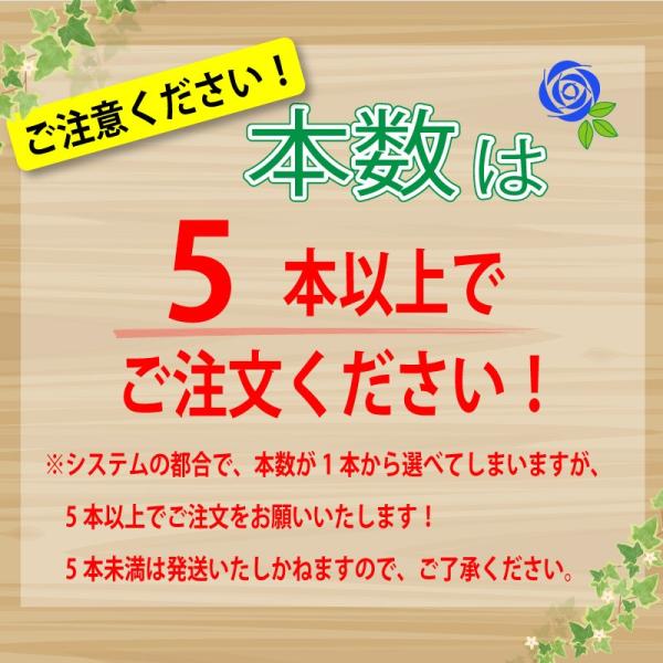 青いバラ 花束 本数 指定で贈れる 誕生日 年の数 花ギフト ブルーローズギフト プレゼント 5本以上からの注文受付です Buyee Buyee Japanese Proxy Service Buy From Japan Bot Online