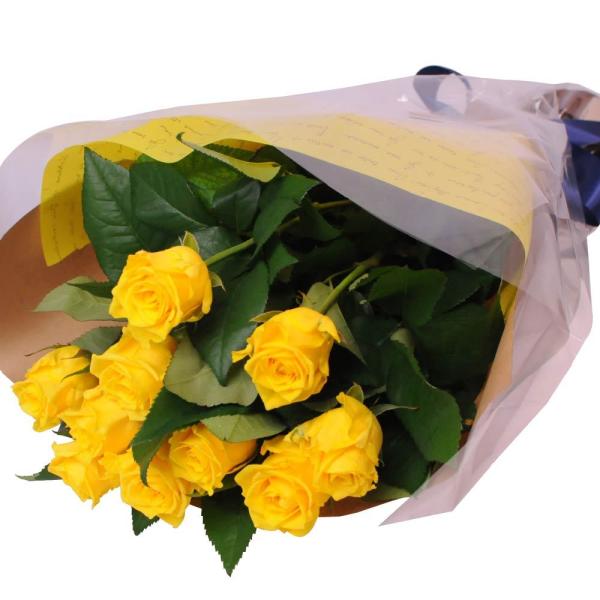 ԑ Mtg Fo ԑ 10{ ̓  Mtg Fo ԑ a v[g KN  Fo10{̉ԑ