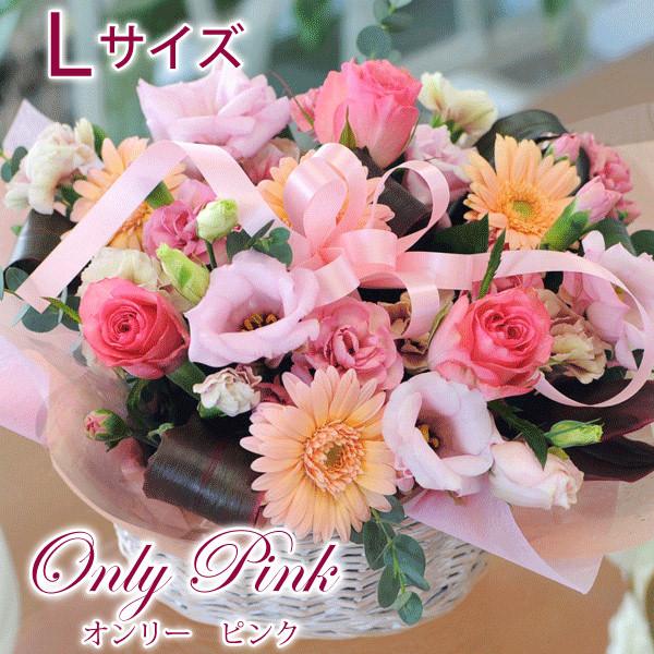 誕生日の花 アレンジメント オンリーピンク Lサイズ 翌日配達 フラワーギフト 贈り物 Onlypink2l 花束ギフト花工房 誕生日翌日配達 通販 Yahoo ショッピング
