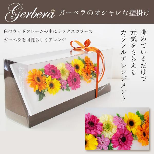 新作モデル Gerbera ガーベラのオシャレな壁掛け プリザーブドフラワー フレーム アレンジメント 贈り物 インテリア カラフル ギフト 予約販売品 Www Thedailyspud Com