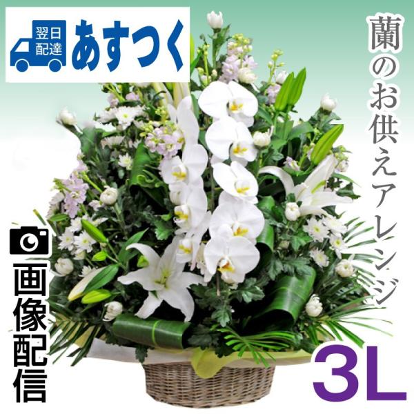    d t[Mtg   Ӓ  @ @v l\     ̂AW 3L