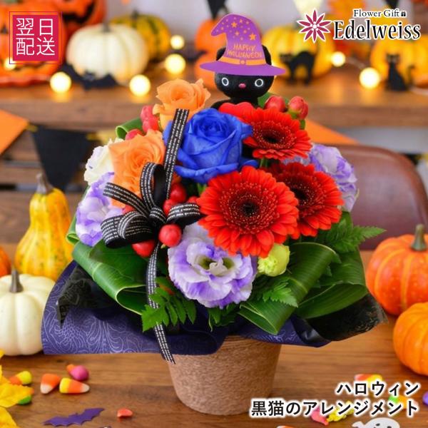 ハロウィン 花 プレゼント アレンジ 誕生日 花 秋の花贈り ハロウィン花 結婚記念日 花 プレゼント ハロウィーン ハロウィン黒猫のアレンジメント