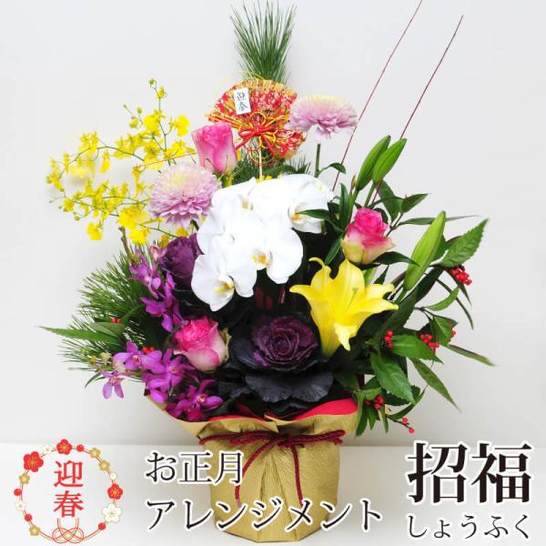 2026    }t   v[g  t[AWg    AW    AWg 