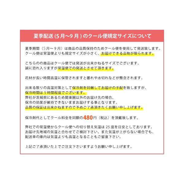 お供え 花 アレンジメント ユリのお供え 生花 お悔やみ 花 おしゃれ 命日 ギフト 4lサイズ 一周忌 命日 四十九日 おしゃれ 花 宅配 Yuriosonae4l 花束ギフト花工房 誕生日翌日配達
