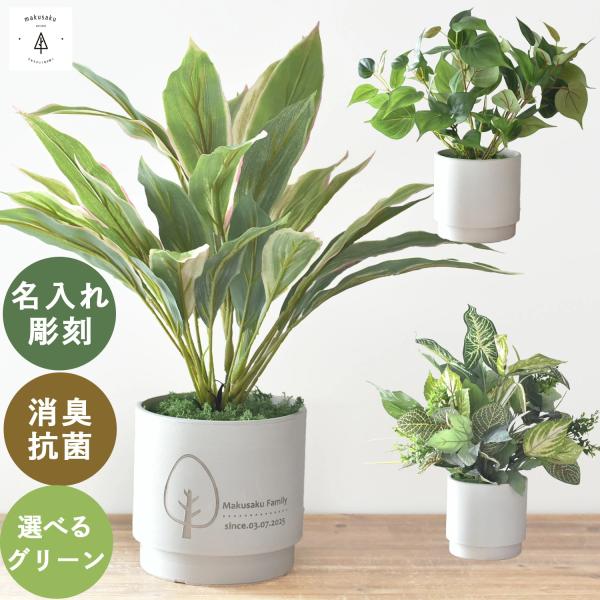 フェイクグリーン 鉢 植物 名入れ 観葉植物 ドラセナ モンステラ カラジューム タニワタリ 記念日 誕生日 新築祝い 光触媒 ギフト 【名入れフェイクグリーン小】