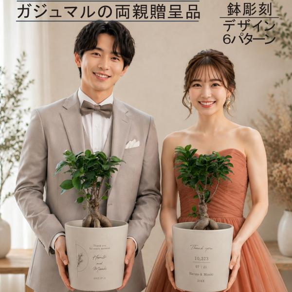 【ガジュマル両親贈呈品】ガジュマル 記念樹 名入れ 鉢植え 結婚式 ウェディング 両親プレゼント 子育て感謝状 感謝状 結婚祝い 新居祝い 観葉植物