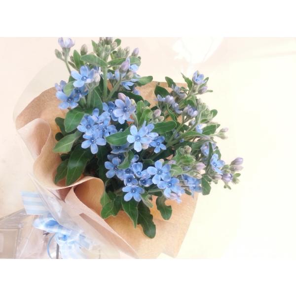 生花 ブルースター 花束の人気商品 通販 価格比較 価格 Com