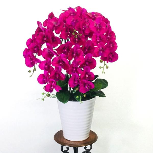 かわいい の胡蝶蘭 高級人工造花 光触媒 アーティフィシャルフラワー Ct触媒 ブラックピンク 5本立ち 年秋冬新作 の